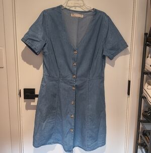 ASOS Denim Blue Button-Up Mini Dress